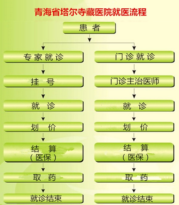 就诊流程 - 副本.jpg